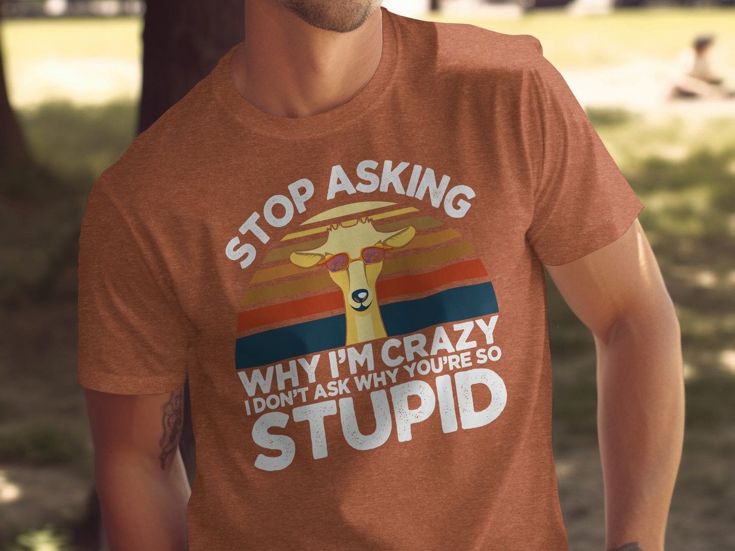 Stop Asking Why I'm Crazy Funny Llama Graphic T-Shirt