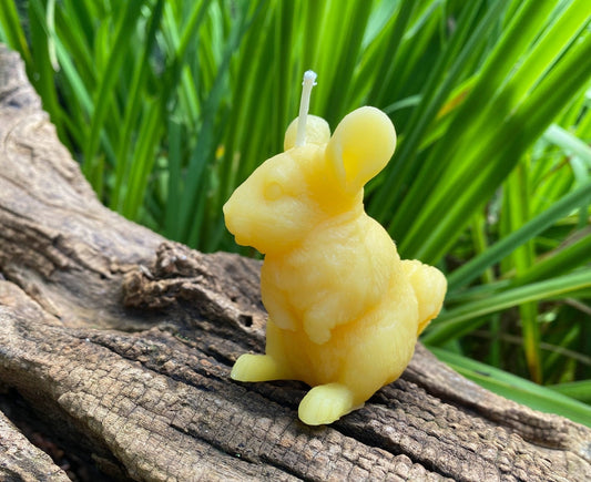 Chinchilla Beeswax Candle