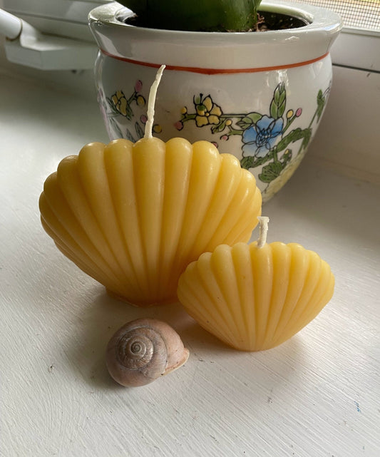 Clam Shell Beeswax Candle Set