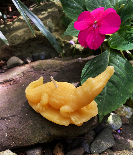 Crocodile Beeswax Candle