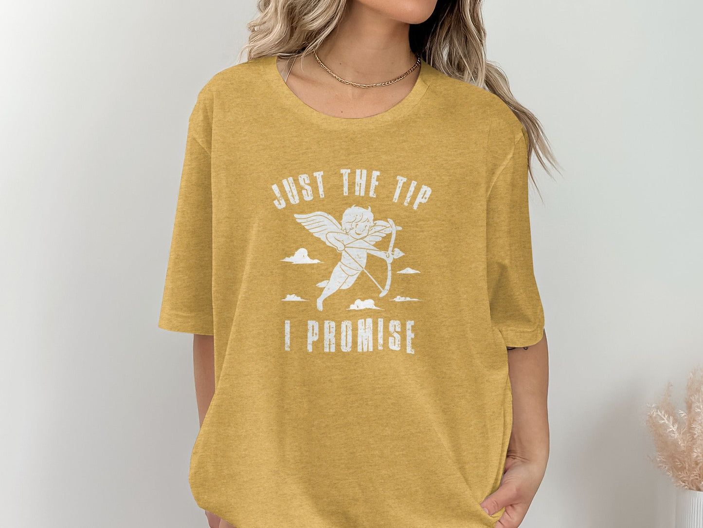 Just The Tip Funny Valentine Cupid I Promise T-Shirt