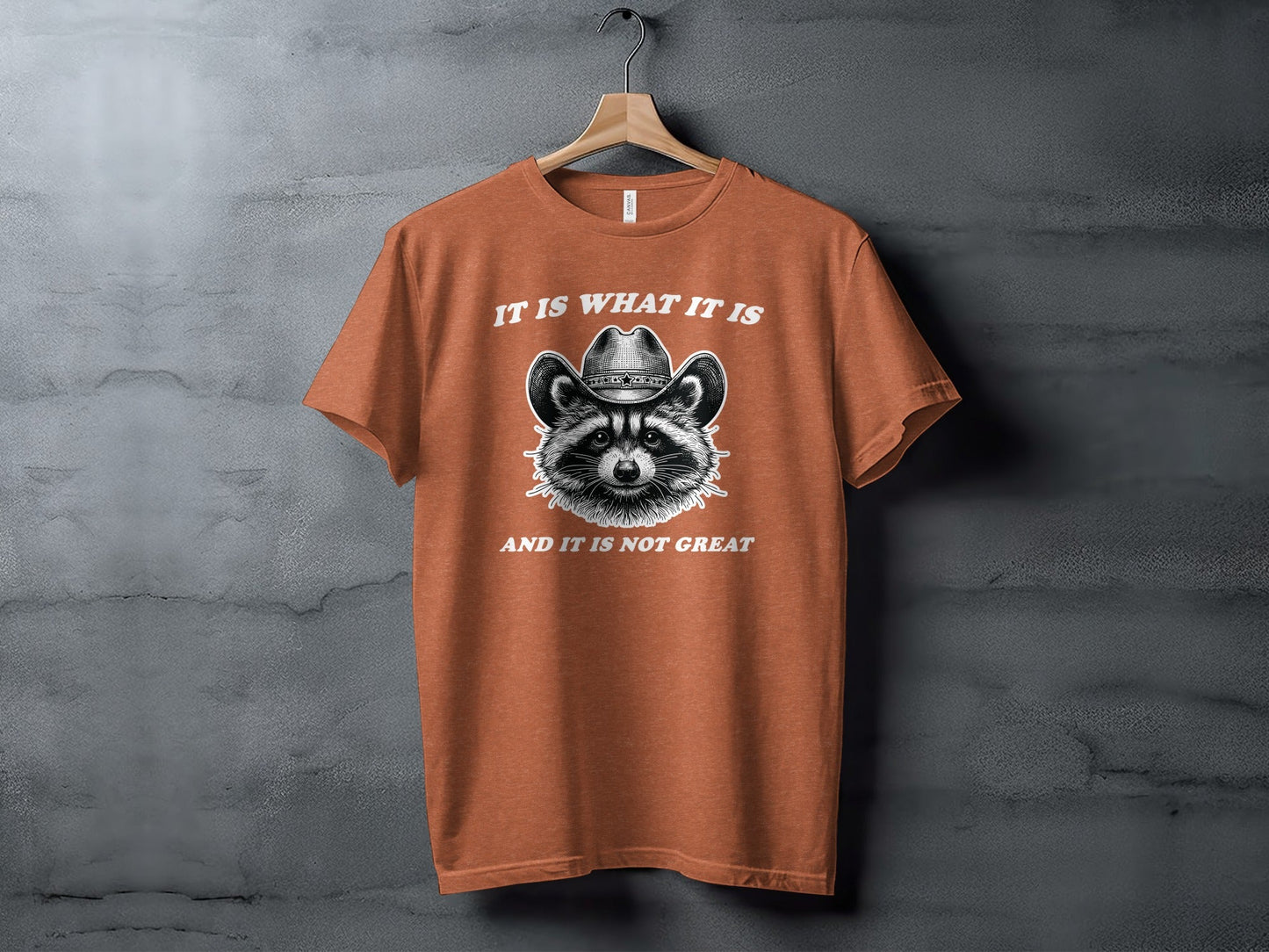 Bandit Cowboy Raccoon Graphic Animal Fashion Western T-Shirt
