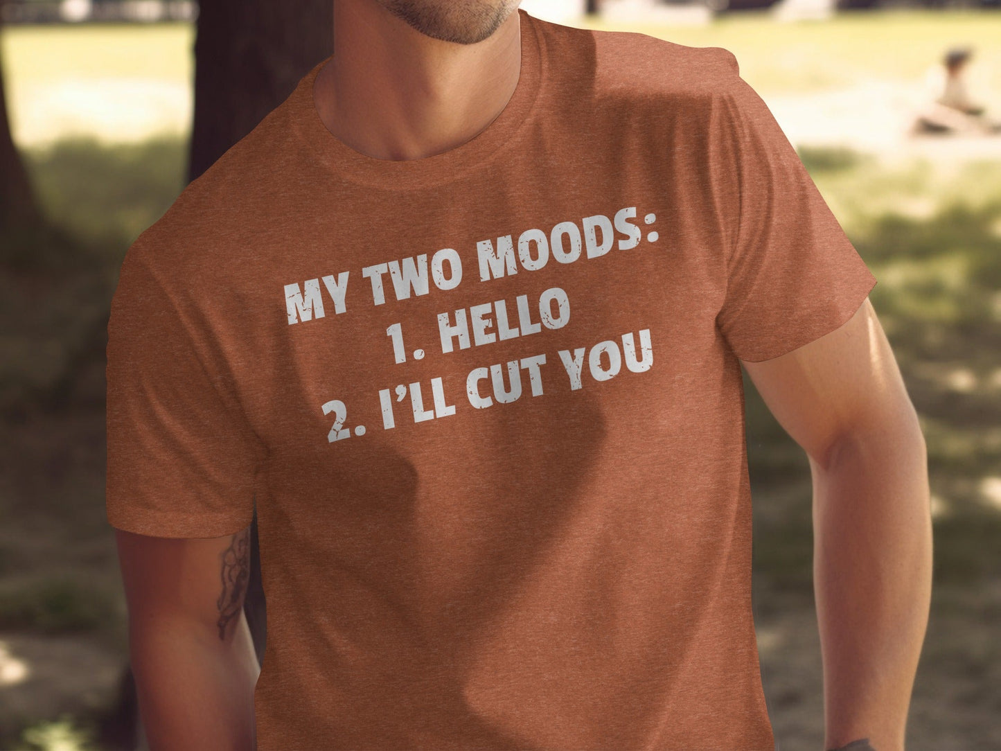 My Two Moods Hello I Will Cut You Graphic Funny T-Shirt