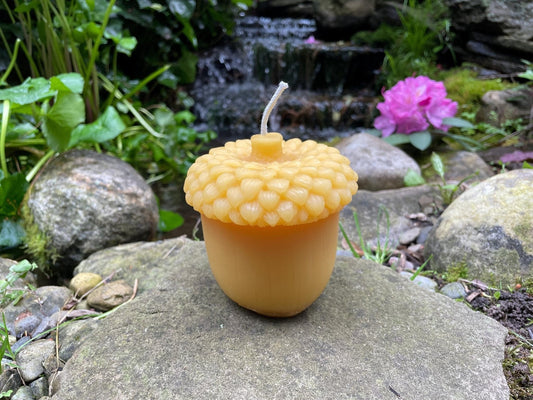 Giant Acorn Beeswax Candle