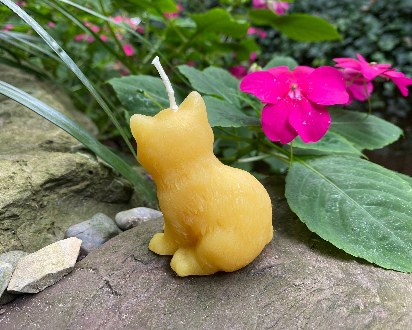 Kitten Beeswax Candle