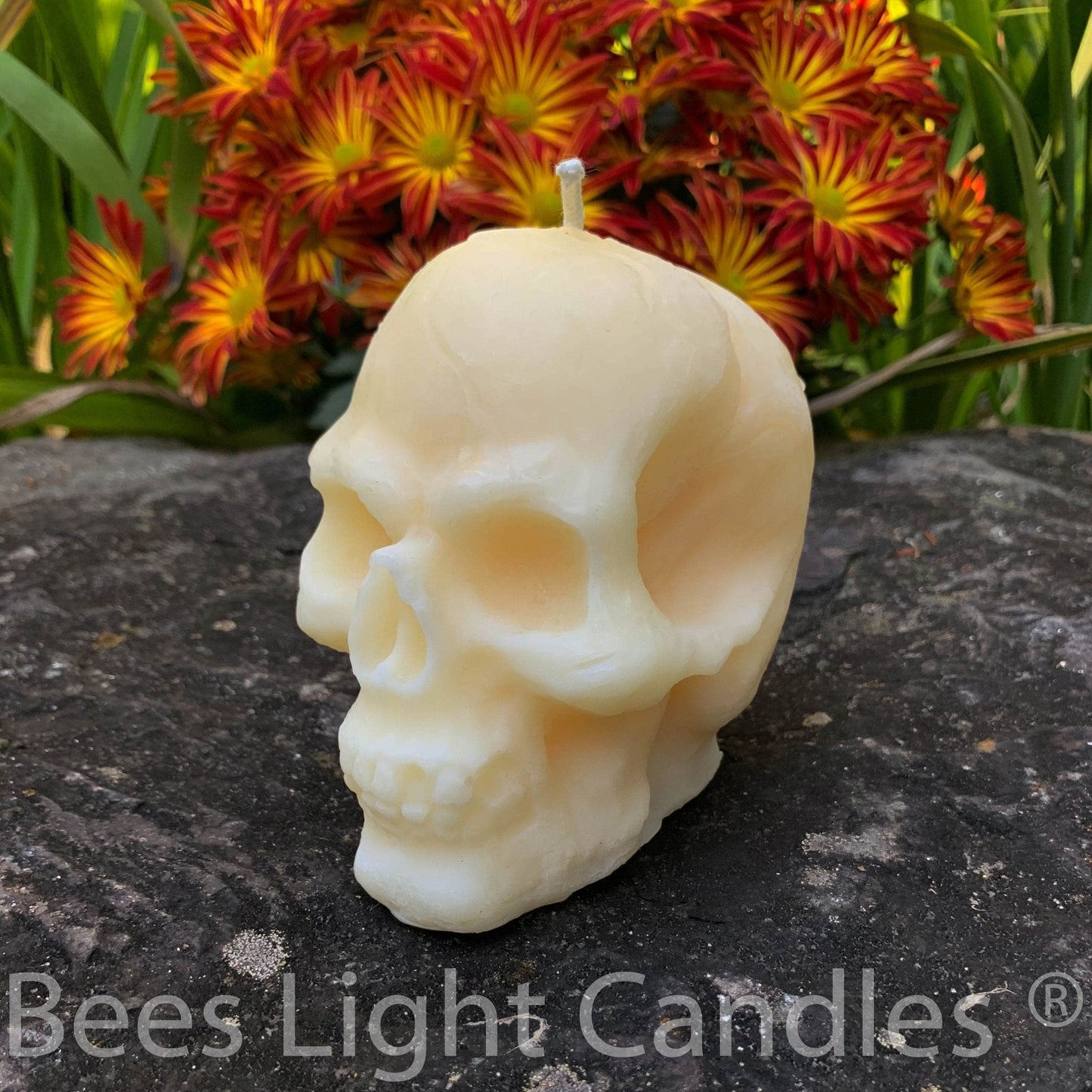 Large Skull Beeswax Candle (White or Yellow)