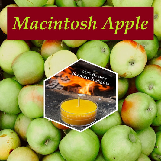 Macintosh Apple Scented Beeswax Tealight Candle